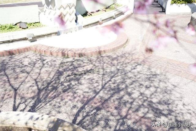 腾龙“20-40mm F/2.8 Di III VXD”镜头评测!
