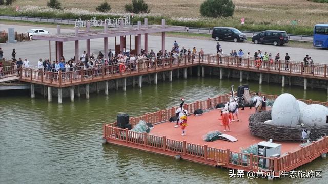 【情满双节游东营】​黄河口生态旅游区 国庆精彩瞬间 美好永不散场