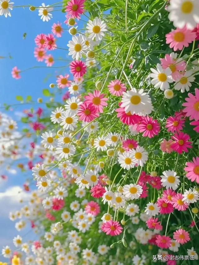 十一月第五期（四天）点评