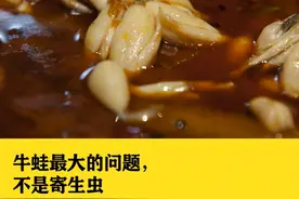 牛蛙：美味背后的隐忧图片