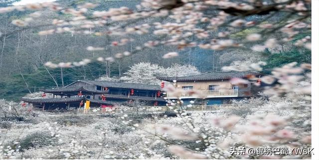 当山水遇见中医药！绵阳这9条中医药健康旅游精品线路等你来打卡