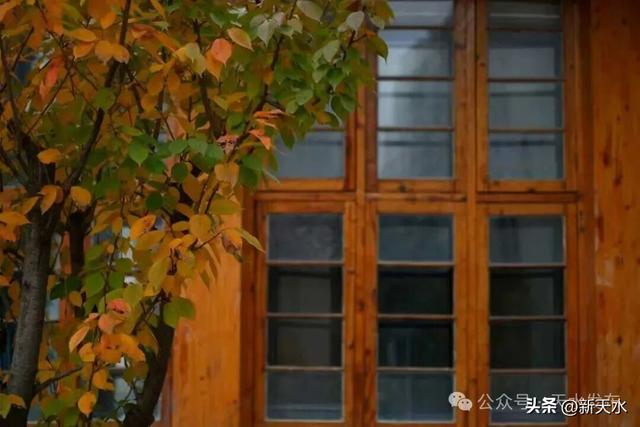 天水弘文园秋景美翻了，快去打卡！