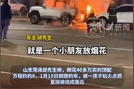 40万新车被小孩烧毁，家长没钱赔，官方不予立案，车主做法太解气图片