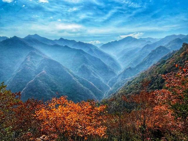 The Qinling Mountains in painted splendor｜秦岭彩叶大赏，美到“巅峰”