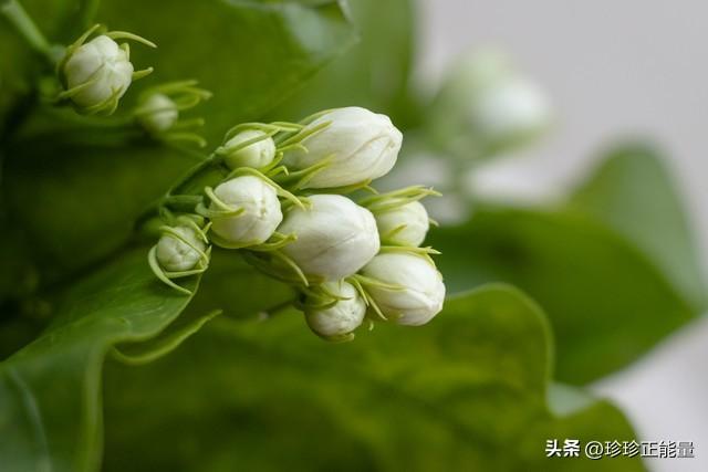 岁月安然，心已素闲，愿你一路悲欢，一路遇见