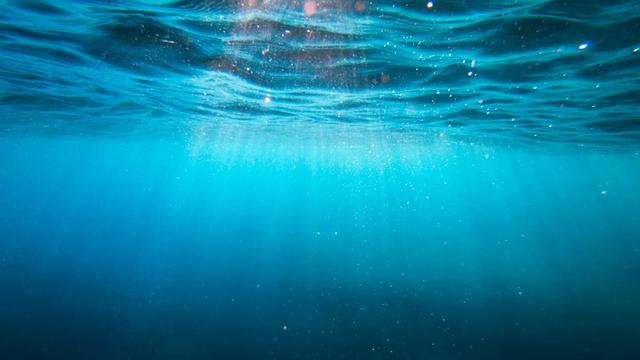 中国建立世界第一个反应堆，将海洋二氧化碳转化为可生物降解原料