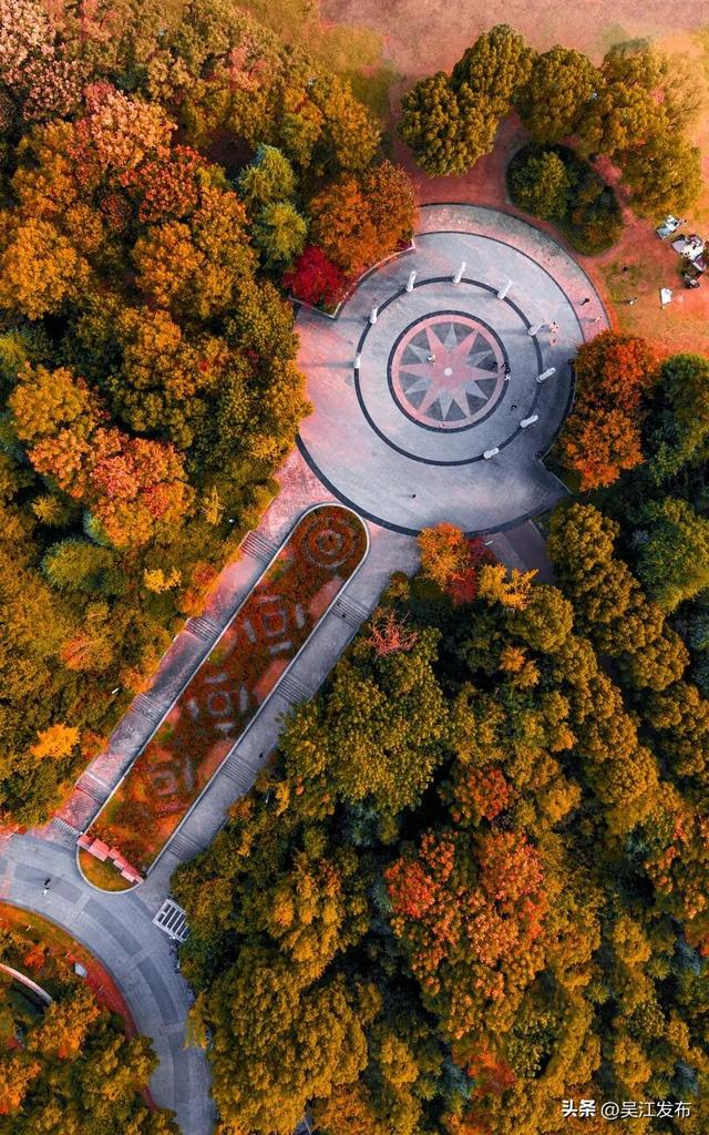 周末去打卡丨来吴江，“捡秋”！