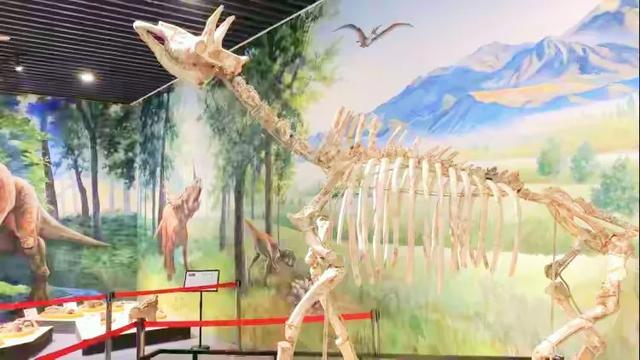 一个村办博物馆,为何能吸引各地游客前去参观?