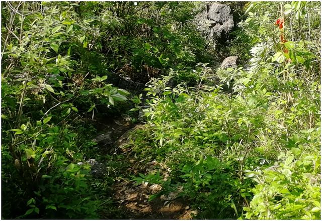 柳州市郊外几个小众景点（几个小草原，重点：拉建草原徒步环线）