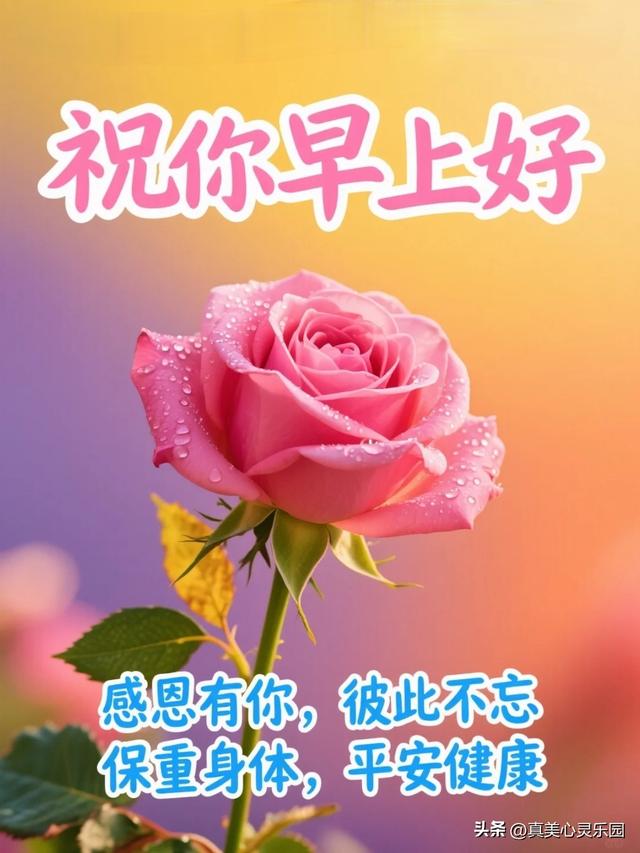 9张漂亮的早安祝福美图，愿你生活甜蜜幸福吉祥，开心快乐每一天