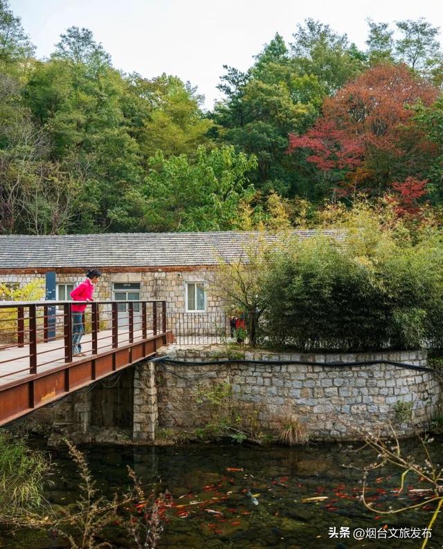 【乐游烟台】烟台绝美赏秋地即将封山，别错过