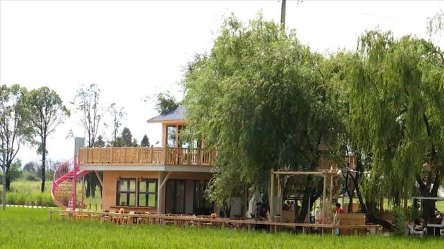 福保村打卡热 家门口的“诗和远方”