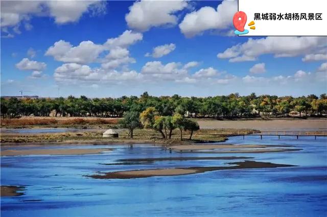 九月十月，额济纳正式进入“封神期”！这份秋日旅行攻略请收好！