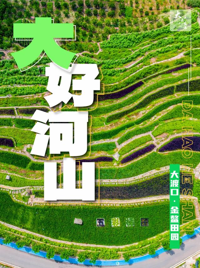 大大大大大！大渡口有这么多“大”？