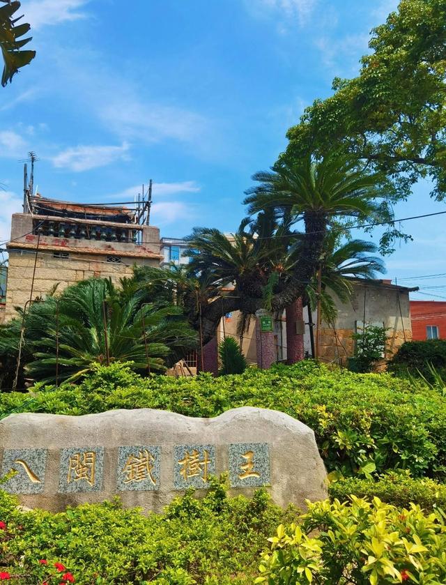 厦门小嶝岛，面积仅0.88平方公里，与金门隔海相望，鸡犬之声相闻