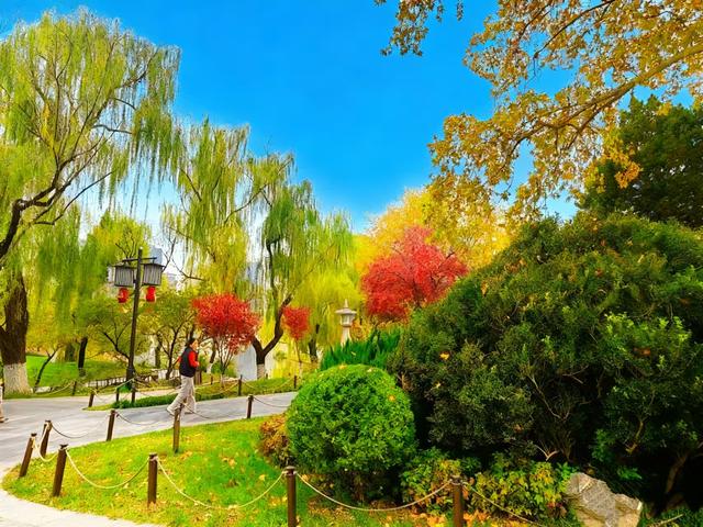 初冬限定之美——兴庆宫里的一步一景