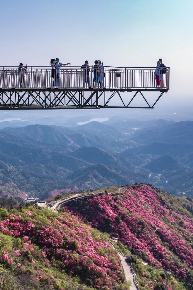登登登登!今天,黄陂约你“顶峰”见