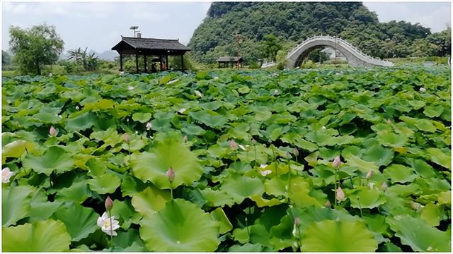 柳州市郊外几个小众景点（几个小草原，重点：拉建草原徒步环线）
