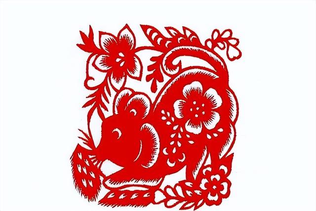 朱珠同志个人简历