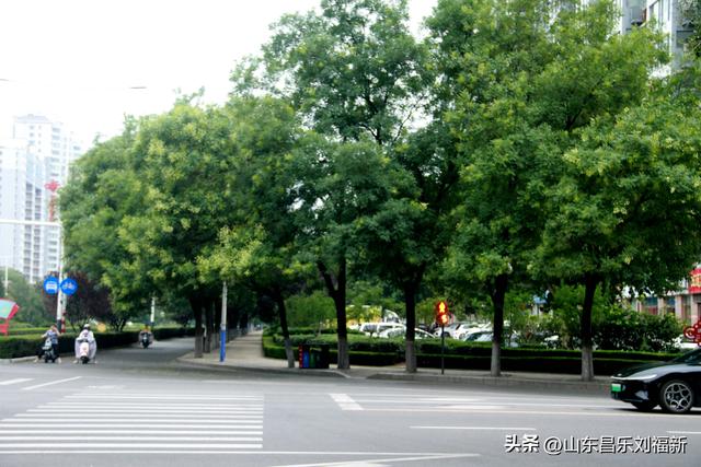逛了个大圈