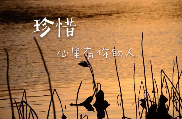 我没怪你，只是不想再等了