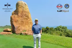 段永平：从打高尔夫到养生，聊聊如何活得更健康图片