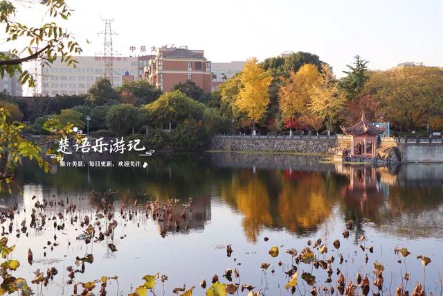 浙江宁波这处风景的秋色堪比诗画，人少景幽休闲很惬意，值得推荐