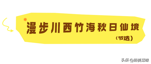 聆听邛崃丨漫步川西竹海秋日仙境
