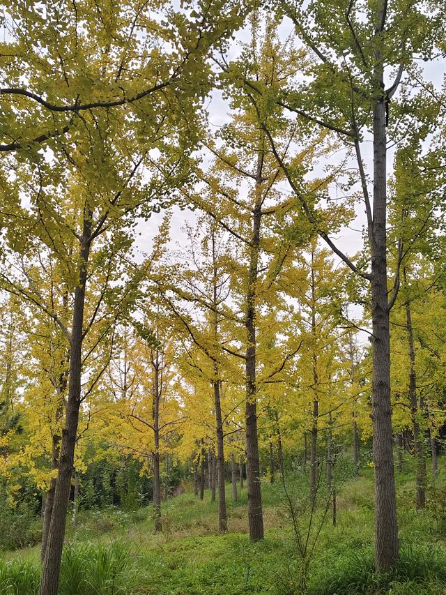 徒步穿越西流湖，赏秋正当时