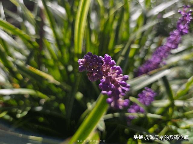 非凡价格 非凡体验 华为Mate XT体验 2万块和Z Fold6打的有来有回