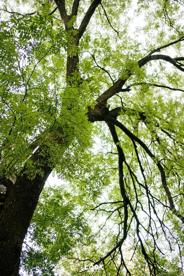 北京隐藏的神秘故居 · 免费开放