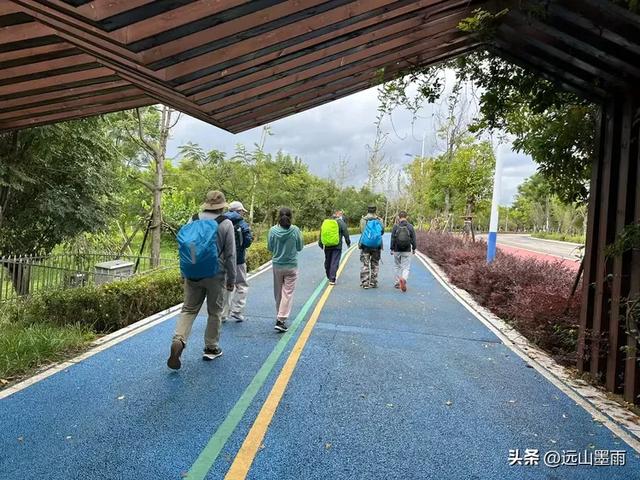 假日徒步，走昆明滇池草海之开合浮桥、雨中打卡新晋网红地，休闲