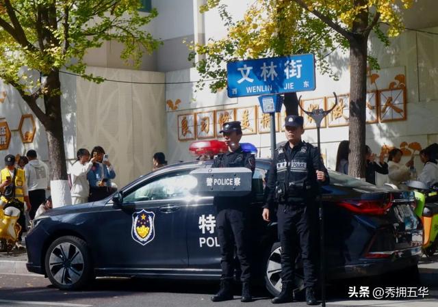 【警景相随.平安冬鸥】杏黄鸥舞待君来，平安守护提前行！
