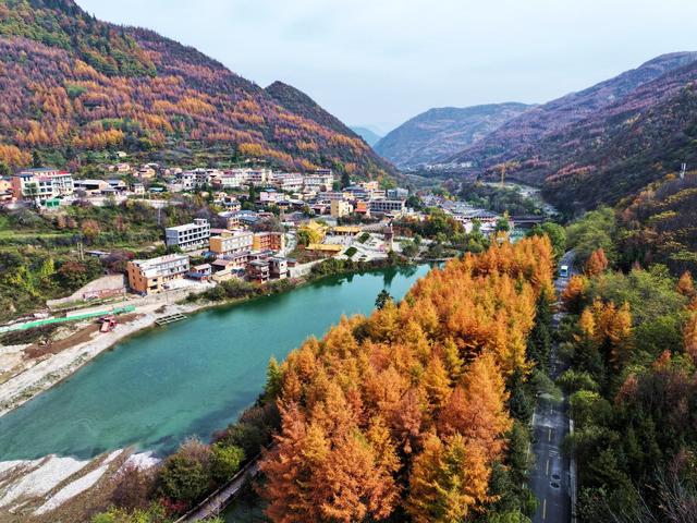 当晚秋遇见官鹅沟……