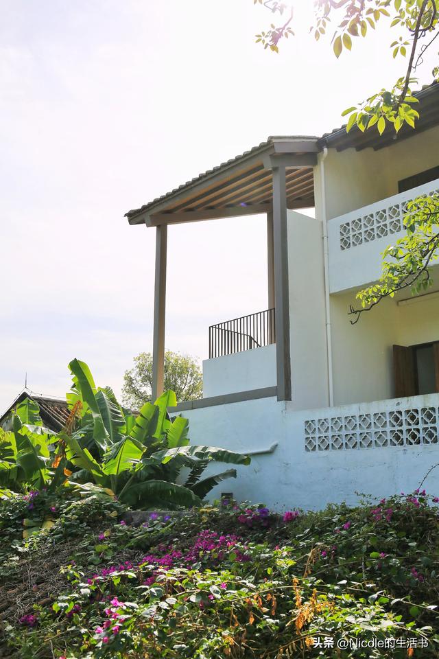 稻浪浸温汤，古村藏清欢