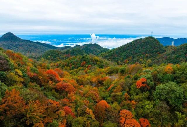 绝了！2h直抵彩林胜境！徒步遛娃冲绝版奖牌，集五福刮999足金！闹非遗羌年、吃刨汤羌宴！