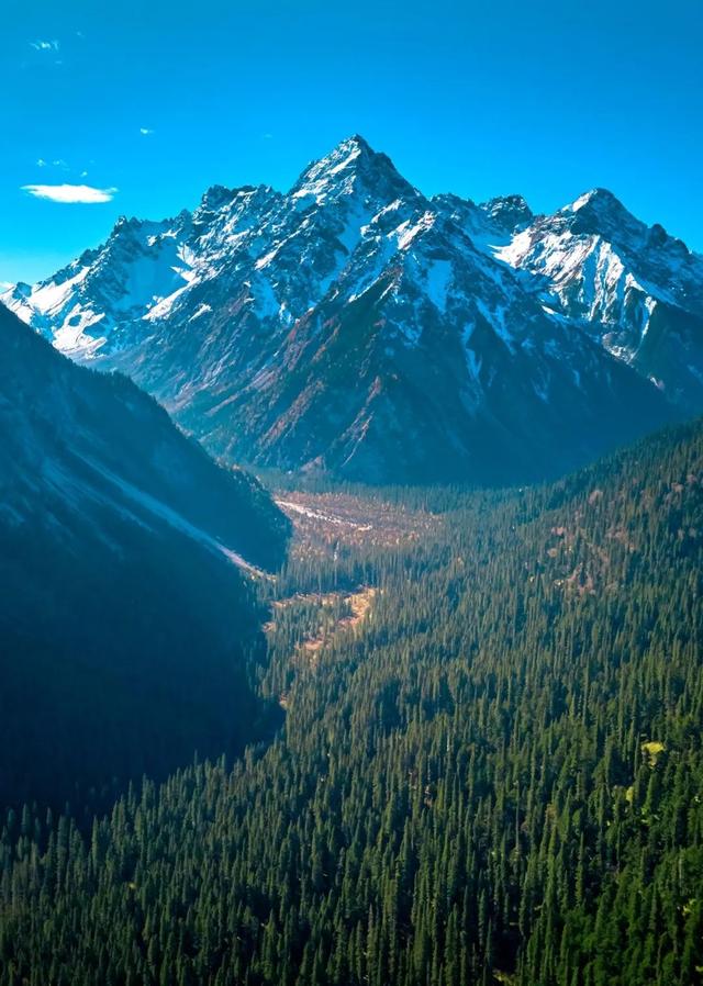 正式通车！全线免费！新挖赏秋天花板小城，绝美彩林不输九寨！地道美食50元吃爽！