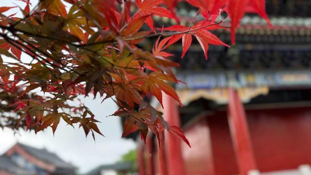 湖南天门山：一场逃离喧嚣的山野之约