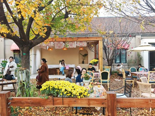 潍坊美景“告急”！这些地方错过等一年！