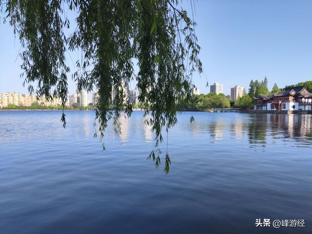 阳春三月游莫愁湖，可惜没能在莫愁女前留个影