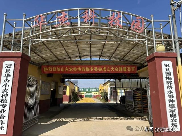 冠县乡韵·兰沃乡大柳邵村