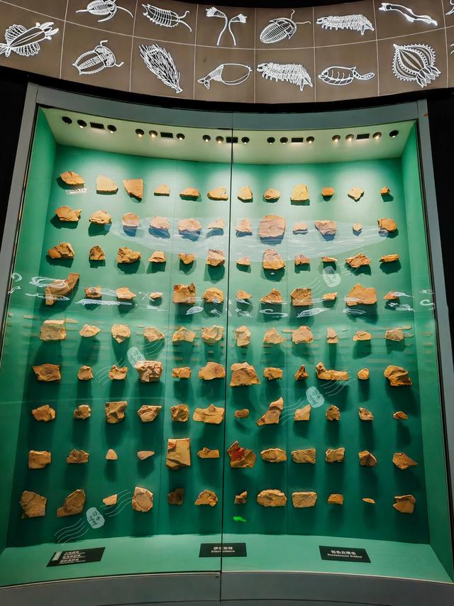 打卡云南高原明珠——美丽的抚仙湖