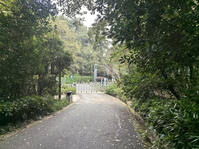 南京幕府山郊野徒步