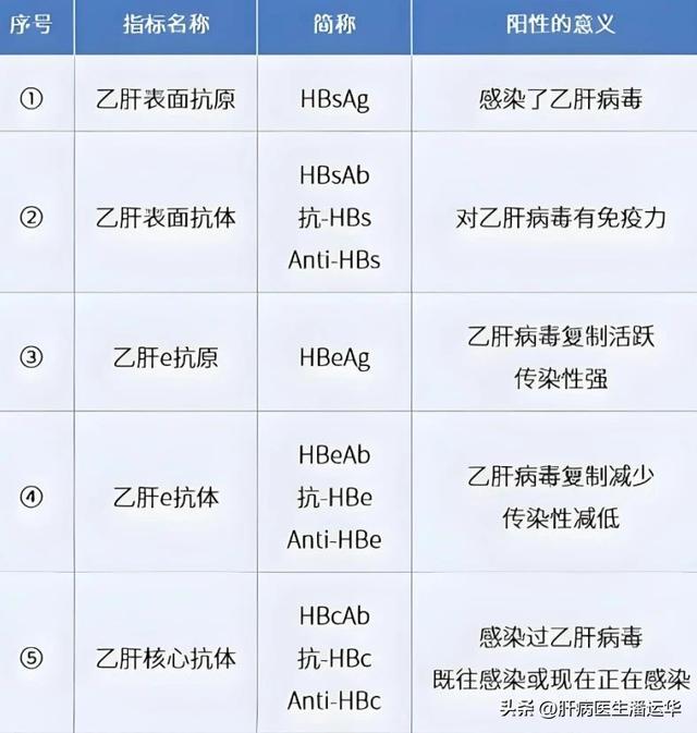 乙肝五项检查单发现阳性别着急，这几项阳性反而是好事！