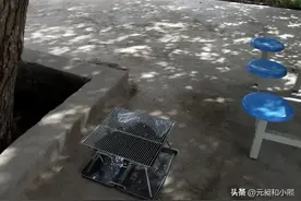 旅行途中千万别被狼的外表欺骗，一个养过狼的人告诉你狼有多凶狠图片