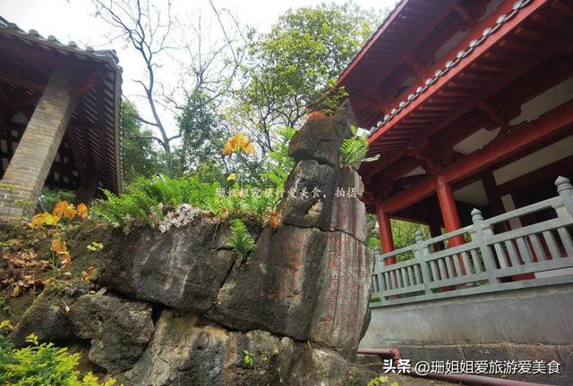 清远连州1100万建馆：为写"山不在高"诗人，他如何点燃文化火种