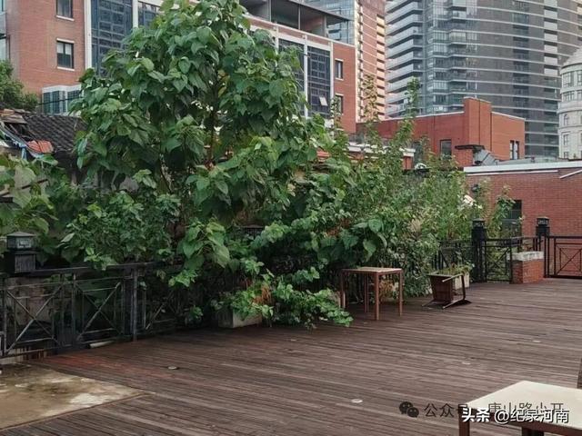 上海：繁华背后的商场荒芜之境