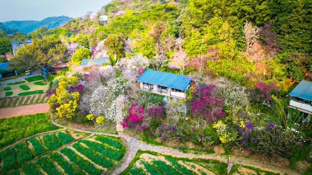 从化区江埔街入选省文旅特色镇入库级名单