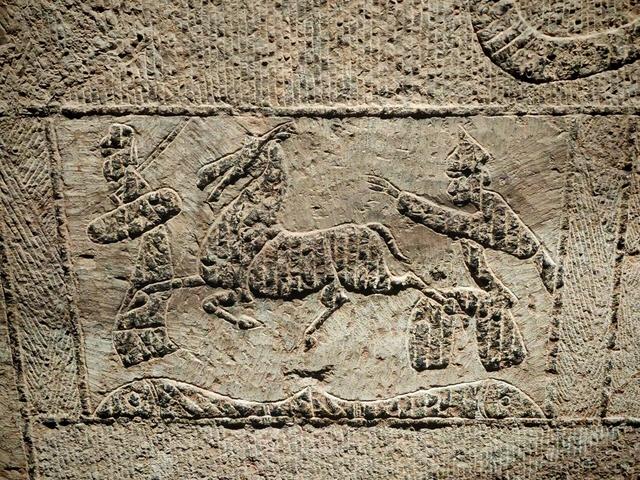 后悔没早来！山东这座冷门小城才是真宝藏