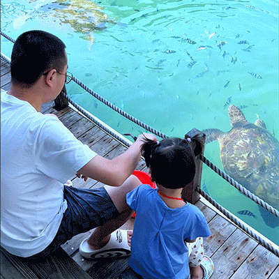 上天入海，动静皆宜的宝藏海岛打卡指南